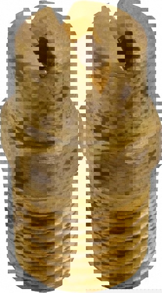 Brass Standard Fan Nozzle: 1/4